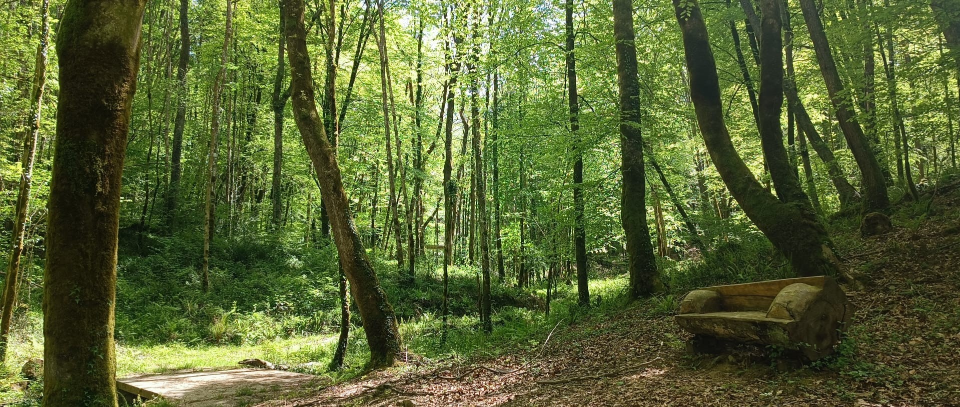 Sentier balisé dans le domaine