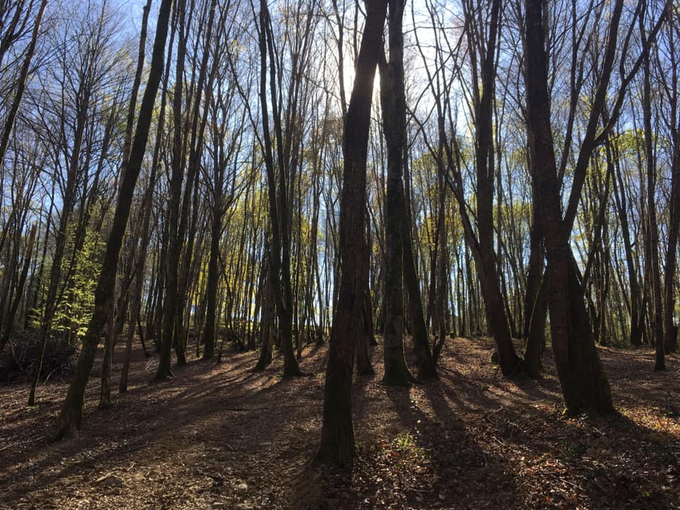 Sentier Nature